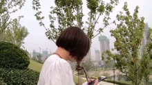 爱过你真的不后悔简谱_不后悔爱过你图片