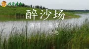 《全职高手》漫画叶修角色曲《醉沙场》易言 / 小旭 唱的好听!音乐背景音乐视频音乐爱奇艺