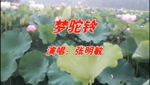 80后经典老歌曲谱大全_曲谱老歌民歌经典简谱(3)
