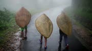 世界上最潮湿的地方,一年到头都在下雨,被称为“世界湿级”旅游完整版视频在线观看爱奇艺