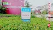 漫步枣阳兴隆白土村社区,感受帝乡韵味,村庄美丽村民幸福旅游完整版视频在线观看爱奇艺