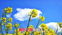 经典老歌缘曲谱_经典老歌口琴曲谱