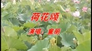 童丽一首《荷花颂》怀旧旋律,韵味十足,令人陶醉!音乐背景音乐视频音乐爱奇艺