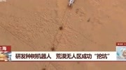 上海研发种树机器人荒漠无人区成功“挖坑”生活高清正版视频在线观看–爱奇艺