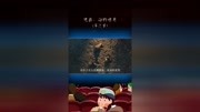 李易峰主演的电影《动物世界》6原创完整版视频在线观看爱奇艺