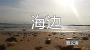 海边(Go to beach)音乐背景音乐视频音乐爱奇艺