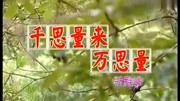 客家山歌《千思量来万思量》(兴宁罗浮山歌)音乐背景音乐视频音乐爱奇艺