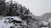 陕西商洛是茫茫的秦岭山区,这里冬天的雪景是啥样?真是太美了!资讯搜索最新资讯爱奇艺