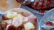 本来哔哩哔哩