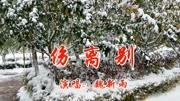 一首《伤离别》魏新雨的声音很好听,很特别,支持好声音!音乐背景音乐视频音乐爱奇艺