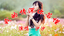 我的情深你若懂的简谱_我的情深你若懂配图(3)