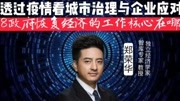 郑荣华:疫情后政府对恢复经济工作的核心在哪?资讯完整版视频在线观看爱奇艺