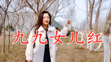 曲谱歌曲九九女儿红