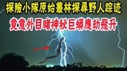 探险小队原始森林探寻野人踪迹,意外目睹惊人一幕,巨蟒应劫飞升生活完整版视频在线观看爱奇艺