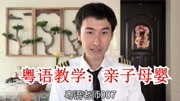 【粤语】一胎二胎的广东话怎么说?知识名师课堂爱奇艺