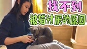 铲屎官和蓝猫的爱恨情仇之大结局生活完整版视频在线观看爱奇艺