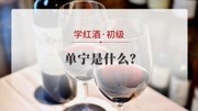 葡萄酒的单宁是什么?生活完整版视频在线观看爱奇艺