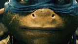 忍者神龟：一只老鼠和四只乌龟的故事