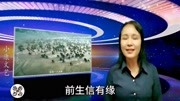 五虎上将威名传,当阳长志此心丹音乐背景音乐视频音乐爱奇艺