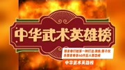 郭家拳打桩第一种打法 演练:郭子仪系郭家拳第46代后人郭忠峄生活完整版视频在线观看爱奇艺