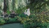 SNH48 鞠婧祎《青城山下白素贞》《新白娘子传奇》插曲MV
