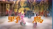 一首闽南语经典老歌《野鸟》叶启田深情演唱音乐背景音乐视频音乐爱奇艺