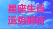 属相兔,和这几个属相相配最佳,上等婚生活完整版视频在线观看爱奇艺