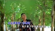 一曲情歌《红尘滚滚》好听,送给你音乐背景音乐视频音乐爱奇艺