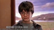 Ron Weasley电影完整版视频在线观看爱奇艺