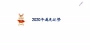 2020生肖兔运势简介生活完整版视频在线观看爱奇艺