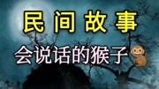 民间故事——会说话的猴子儿童动画片大全儿童教育爱奇艺