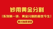 黄金分割系列第一讲:黄金分割的前世今生知识名师课堂爱奇艺