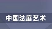 杨征宇中国法庭艺术05.法庭角色——律师资讯搜索最新资讯爱奇艺