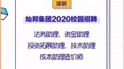 应届生日报入职两个月就想离职,怎么办原创完整版视频在线观看爱奇艺