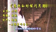 想你时候问月亮歌曲曲谱_想你的时候问月亮曲谱