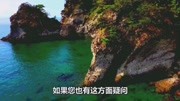 上海崇明岛藏红花基地批发价格,2020上海崇明岛藏红花基地生活完整版视频在线观看爱奇艺