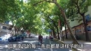 南宁为什么被称为绿城?看看这几条道路就知道了,绿树成荫!资讯搜索最新资讯爱奇艺