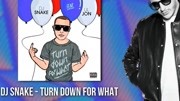 盘点蛇叔DJ Snake 2012年至2020年其中的优秀作品,61一首单曲不同的Drop让你打开眼界..音乐背景音乐视频音乐爱奇艺