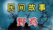 民间故事——野鸡生活完整版视频在线观看爱奇艺