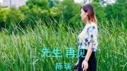 热歌劲曲:先生 再见——陈瑞(DJ版)音乐背景音乐视频音乐爱奇艺