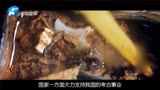 华豫之门：大爷祖传菩萨却扬言要卖，专家：向大爷致敬
