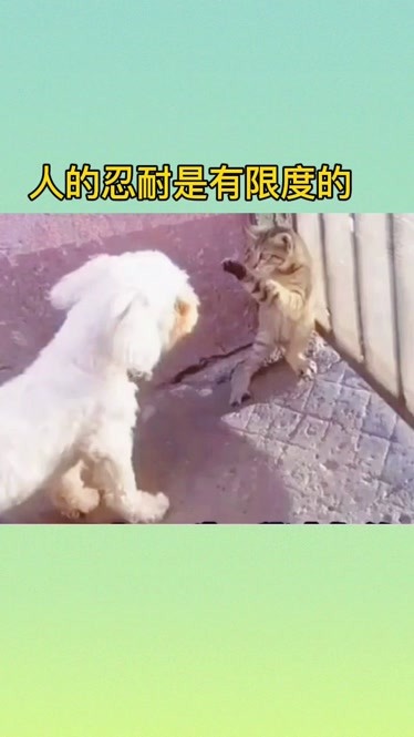 人的忍耐是有限度的