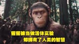 猩猩被当做活体实验却拥有高智商对人类展开复仇《猩球崛起》