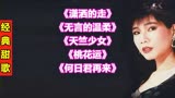 经典甜歌<潇洒的走><无言的温柔><天竺少女><桃花运><何日君再来>