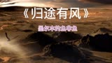 王菲新歌，《归途有风》，国庆档电影“万里归途”主题曲