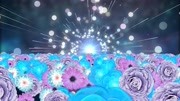 唯美花海花朵玫瑰花瓣飞舞婚礼舞台LED大屏幕背景短片视频素材23