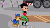 汪汪队立大功 小砾终于加入了汪汪队#儿童动画 #儿童视频