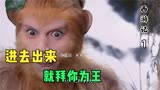 西游记1，石猴得到花果山本地猴的尊重，从水帘洞带回了好消息。