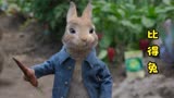 比得兔：比得兔是兔老大，经常去邻居家菜地吃蔬果。