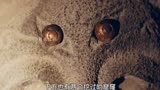 为什么老九门中吴家才是扛把子，吴三省比起他父亲更猛